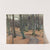 Young Beech Wood by Ester Almqvist