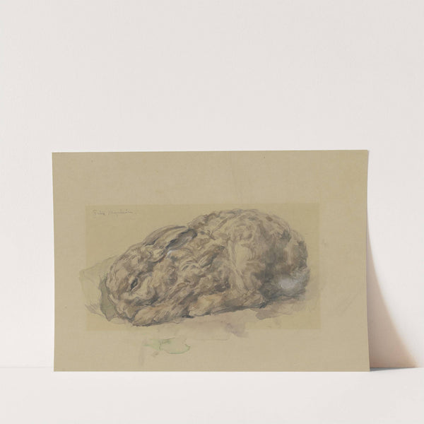 Young rabbit by Felix Klipstein