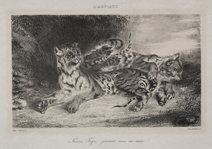 Young Tiger Playing with its Mother (1831)
