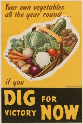 Your Own Vegetables all the Year Round…if You Dig for Victory Now