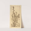 Yucca by Bertha Jaques