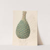 Zamia caffra [Encephalartos altensteinii female cone] by Clemenz Heinrich Wehdemann
