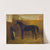 Zampa by Fritz Thomsen