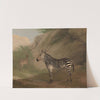 Zebra by Jacques-Laurent Agasse