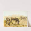 Zebra (1893-1896) by Pierre Jacques Smit