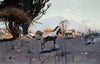 Zebras (1912)