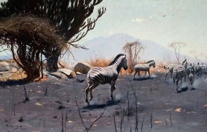Zebras (1912)