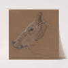 Zebu (1866) by Bernard Willem Wierink