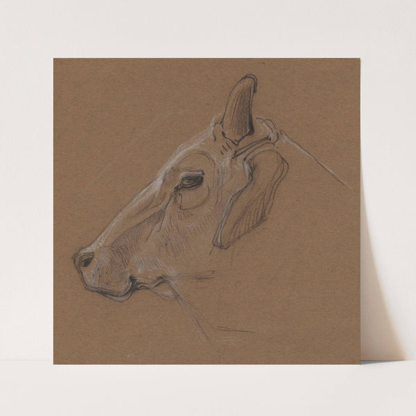 Zebu (1866) by Bernard Willem Wierink