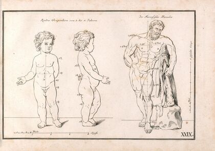 Zeichenbuch für Künstler und Liebhaber der freyen Handzeichnung Pl.29 (1781)