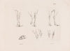Zes studies van paardenbenen (1835)