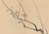 Zeshin iboku tairyūkyo gafu, Pl.01