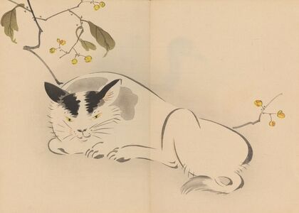 Zeshin iboku tairyūkyo gafu, Pl.08