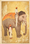 Zo (Elephant) (1931)