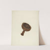 Zoar Butter Mold by John Wilkes