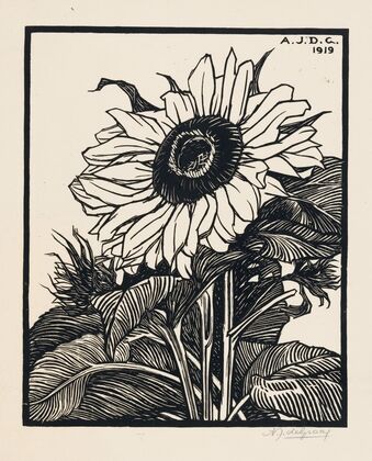 Zonnebloem