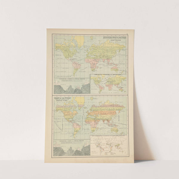 Zoological chart of the world shewing the distribution of some of the principal members of the animal kingdom by Charles Scribner's Sons