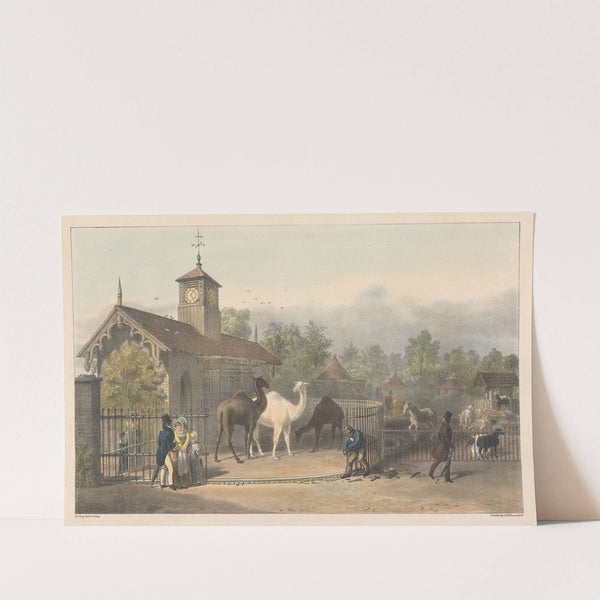 Zoological Gardens, Regent’s Park (1835) by George Johann Scharf