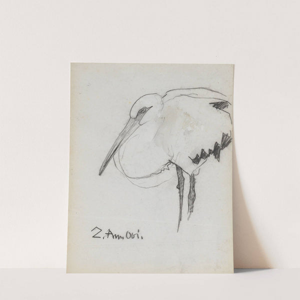 Zuid-Amerikaanse ooievaar by Theo Nieuwenhuis