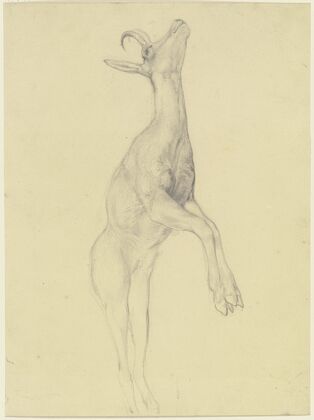 Mercury
