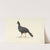 Zwarte loopvogel met korte dikke rode snavel by Circle of François Levaillant