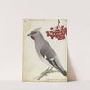 Zweedse vogel by Jan Brandes