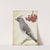 Zweedse vogel by Jan Brandes