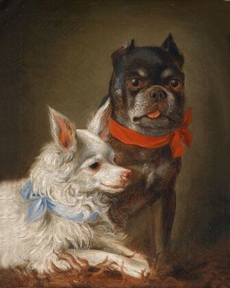 Zwei Hunde 01