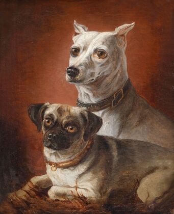 Zwei Hunde 02