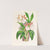 Zygopetalum rostratum by Jean Jules Linden